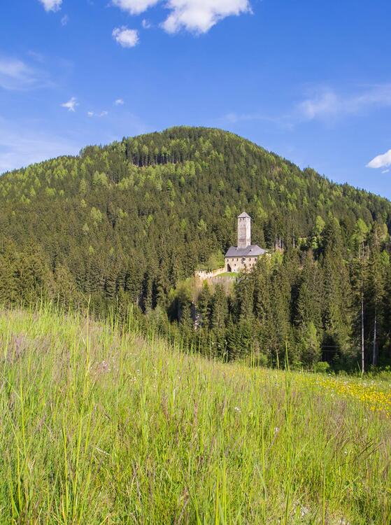 schloss-welsperg-tv-gsieser-tal-kamilla-photography-5