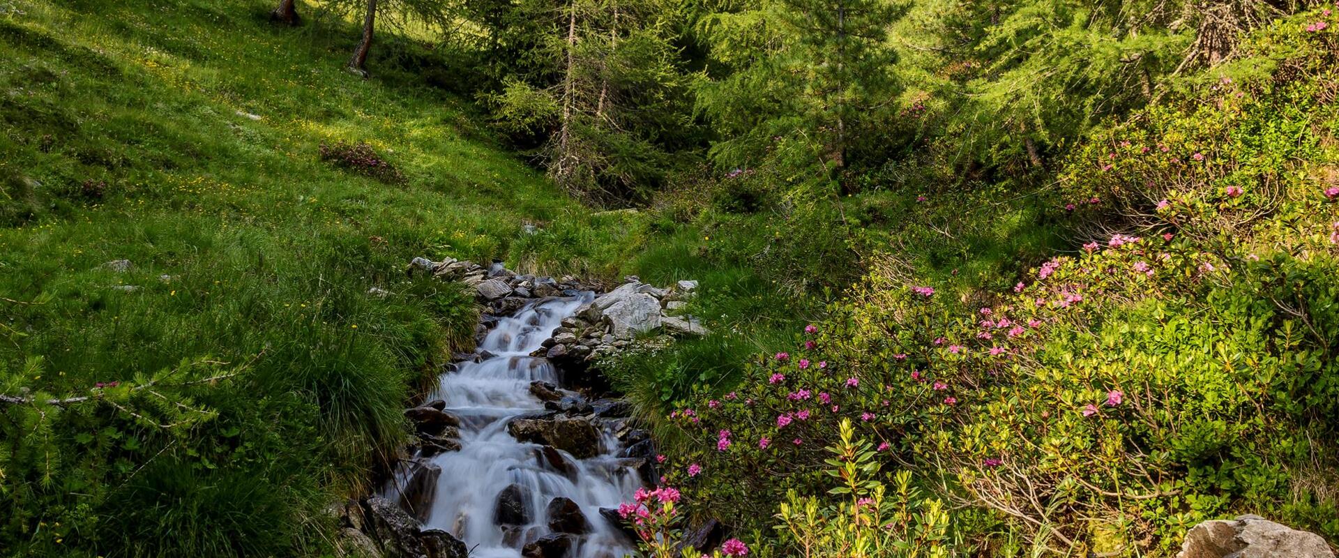 almlandschaft-gsies-tv-gsieser-tal-georg-hofer-31