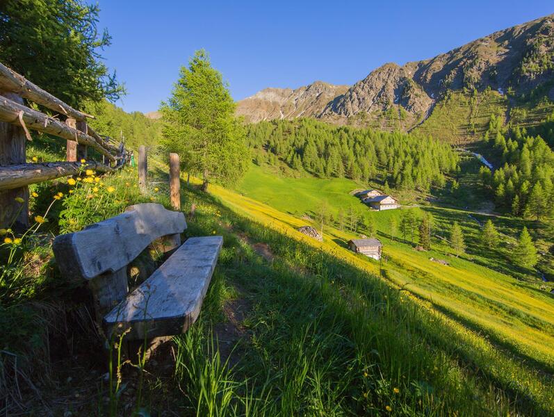 bank-mit-ausblick-tv-gsieser-tal-kamilla-photography