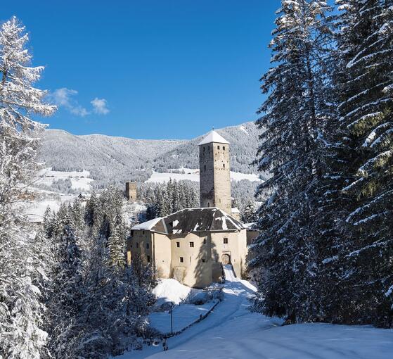 schloss-welsperg-ghr2496-tv-gsieser-tal-georg-hofer