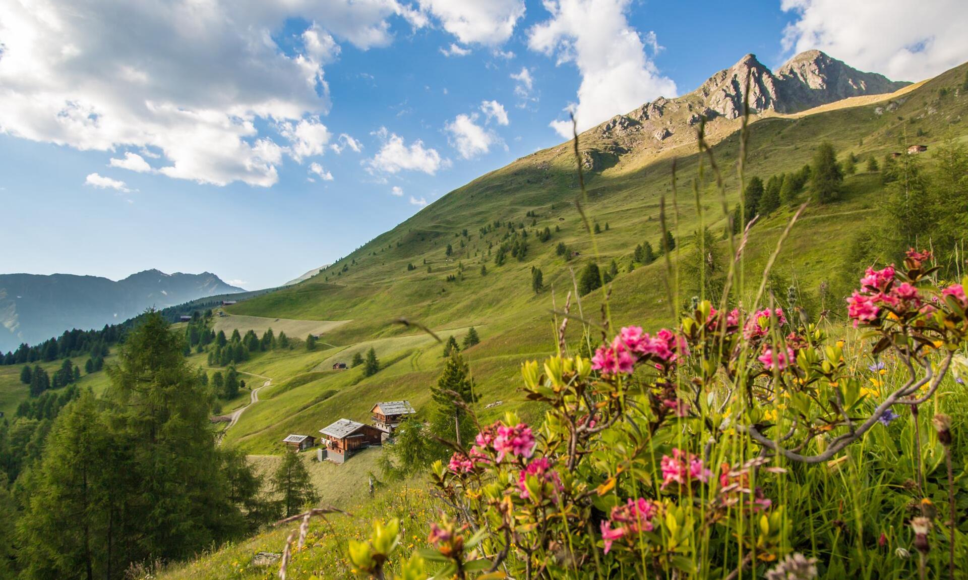 almen-tv-gsieser-tal-kamilla-photography-1