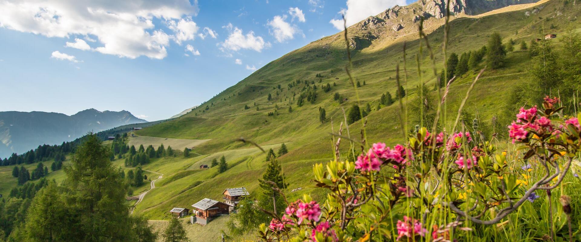 almen-tv-gsieser-tal-kamilla-photography-1