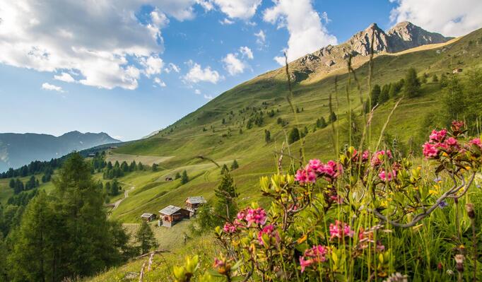 almen-tv-gsieser-tal-kamilla-photography-1