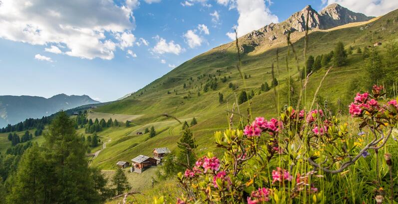 almen-tv-gsieser-tal-kamilla-photography-1
