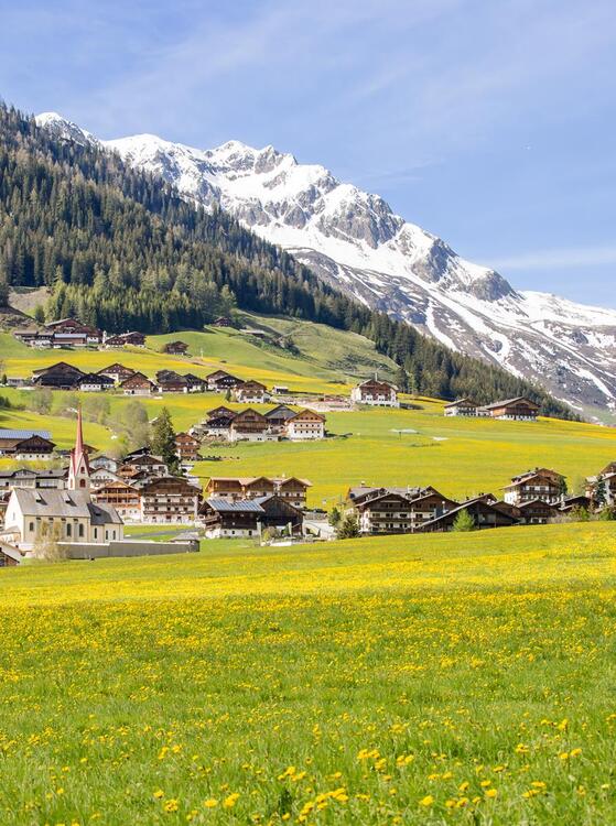 fruehling-2020-tv-gsieser-tal-kamilla-photography-6