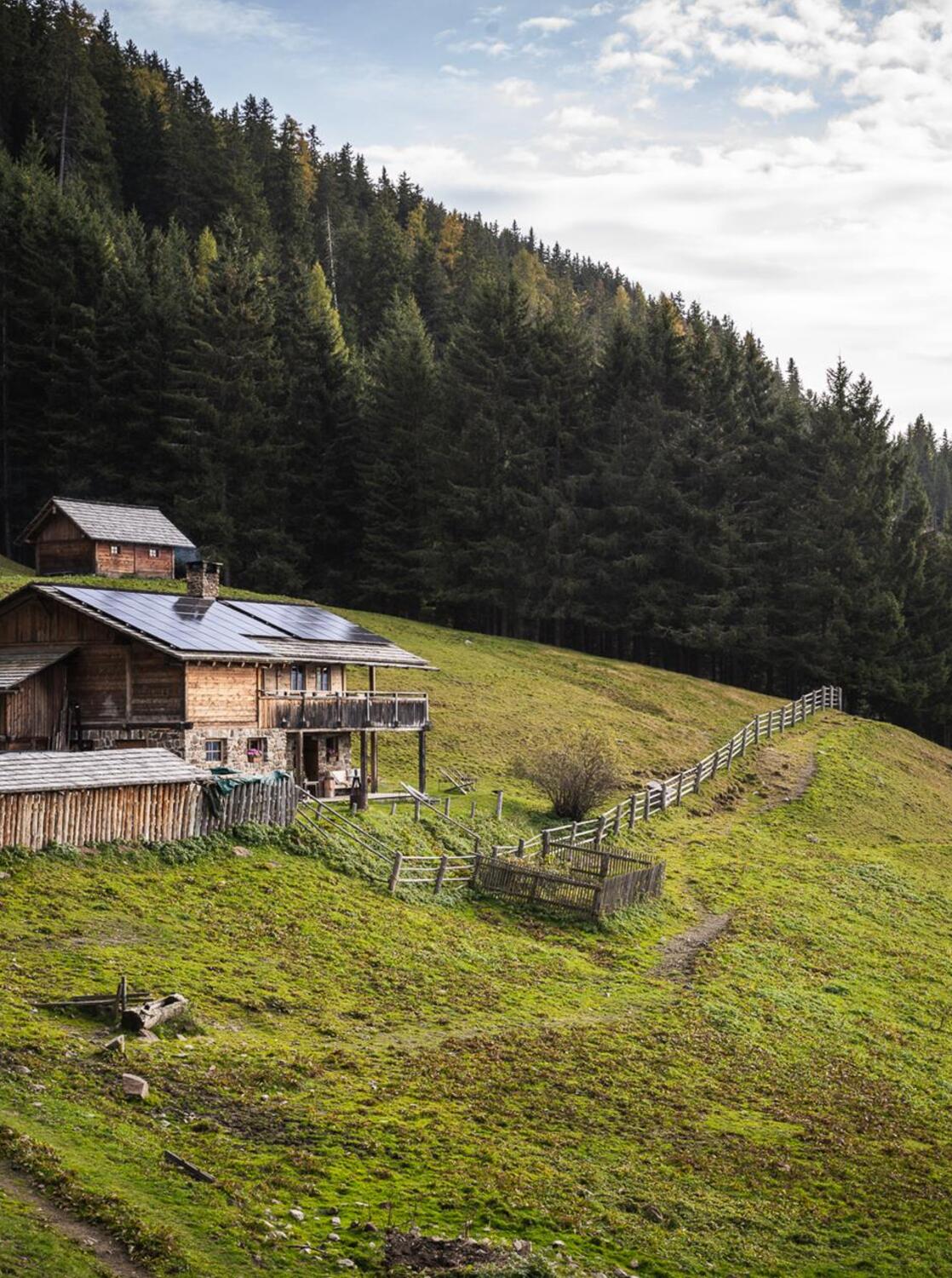 003-tgw-hochraut-web-silbersalz