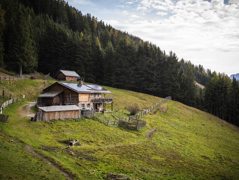 003-tgw-hochraut-web-silbersalz
