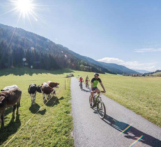 bike-rad-mountainbike-herbst-2018-tv-gsieser-tal-harald-wisthaler-13