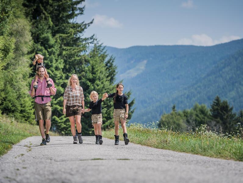 -wisthaler-com-17-08-tv-welsberg-gsies-fam-haw-3127