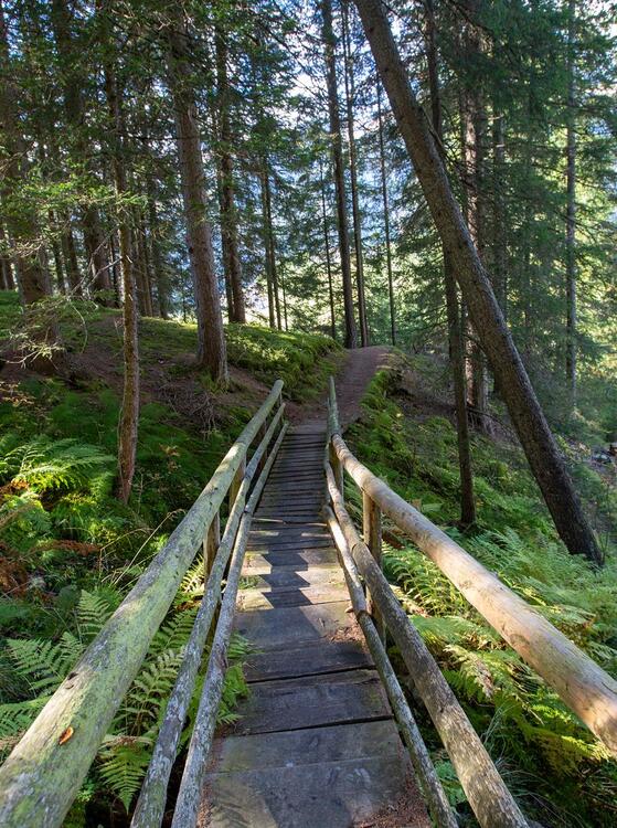 talblickweg-tg-gsiesertal-kamilla-photography-3