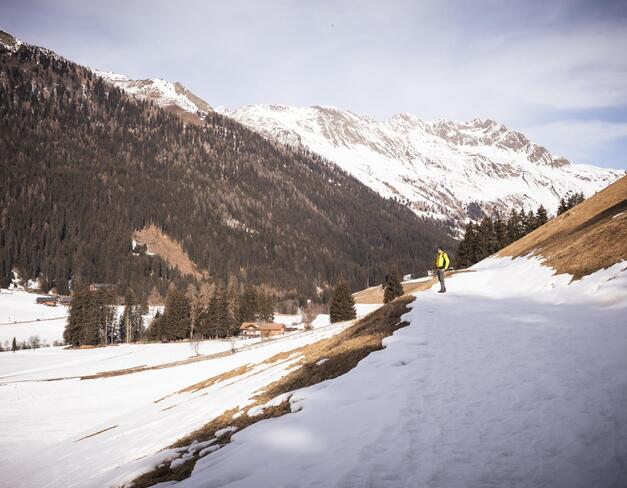 018-tgw-reierandreas-web-silbersalz