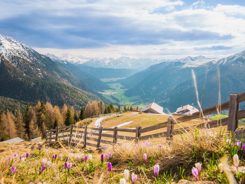 fruehling-tv-gsieser-tal-kamilla-photography-3