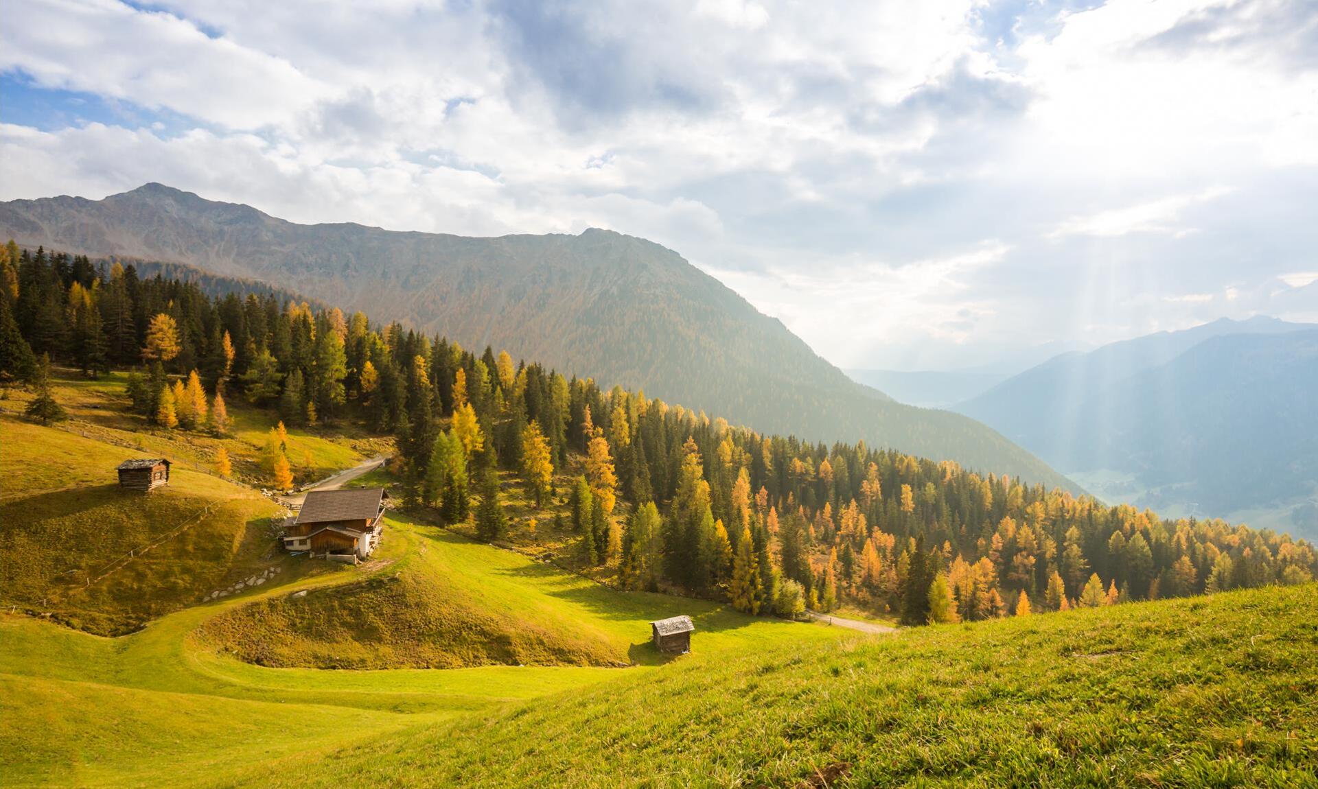 herbst-tg-gsiesertal-kamilla-photography-2