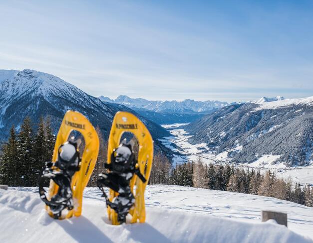 -wisthaler-com-18-01-tv-welsberg-gsies-winter-haw-6002