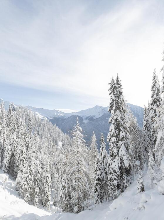 landschaft-winter-tg-gsiesertal-kamilla-photography-4