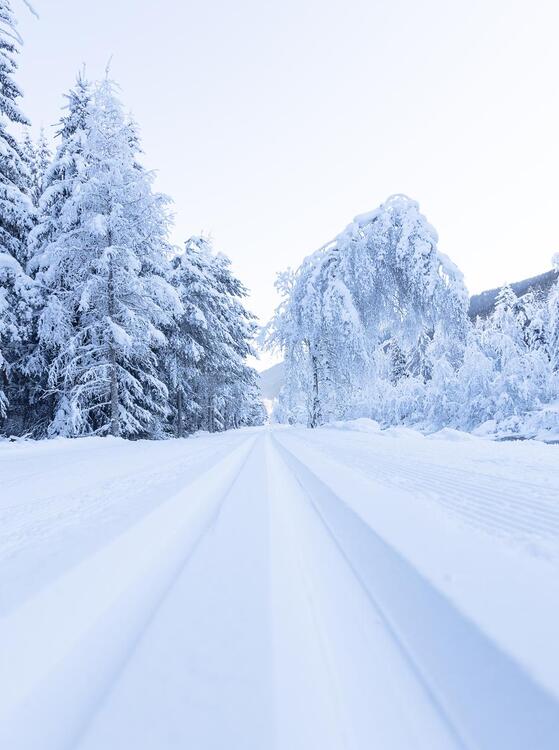 langlauf-januar-2022-tg-gsieser-tal-kamilla-photography-30